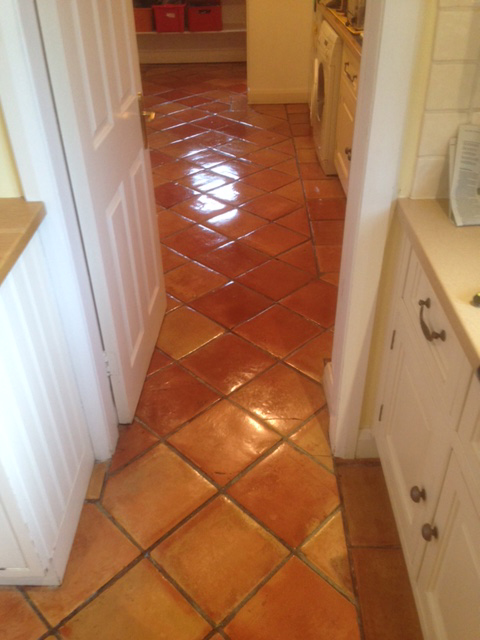 Terracotta Floor Cleaning