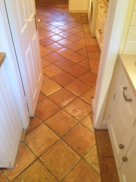 Terracotta Floor Cleaning