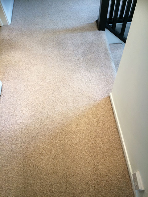 Commercial Carpet Cleaning
