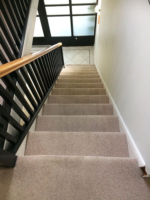 Commercial Carpet Cleaning