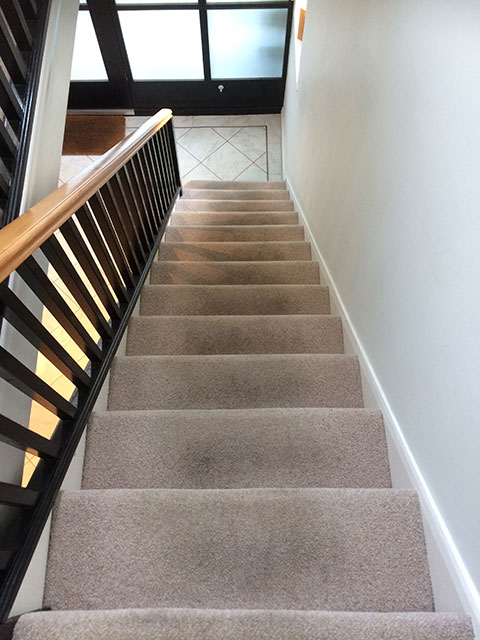 Commercial Carpet Cleaning