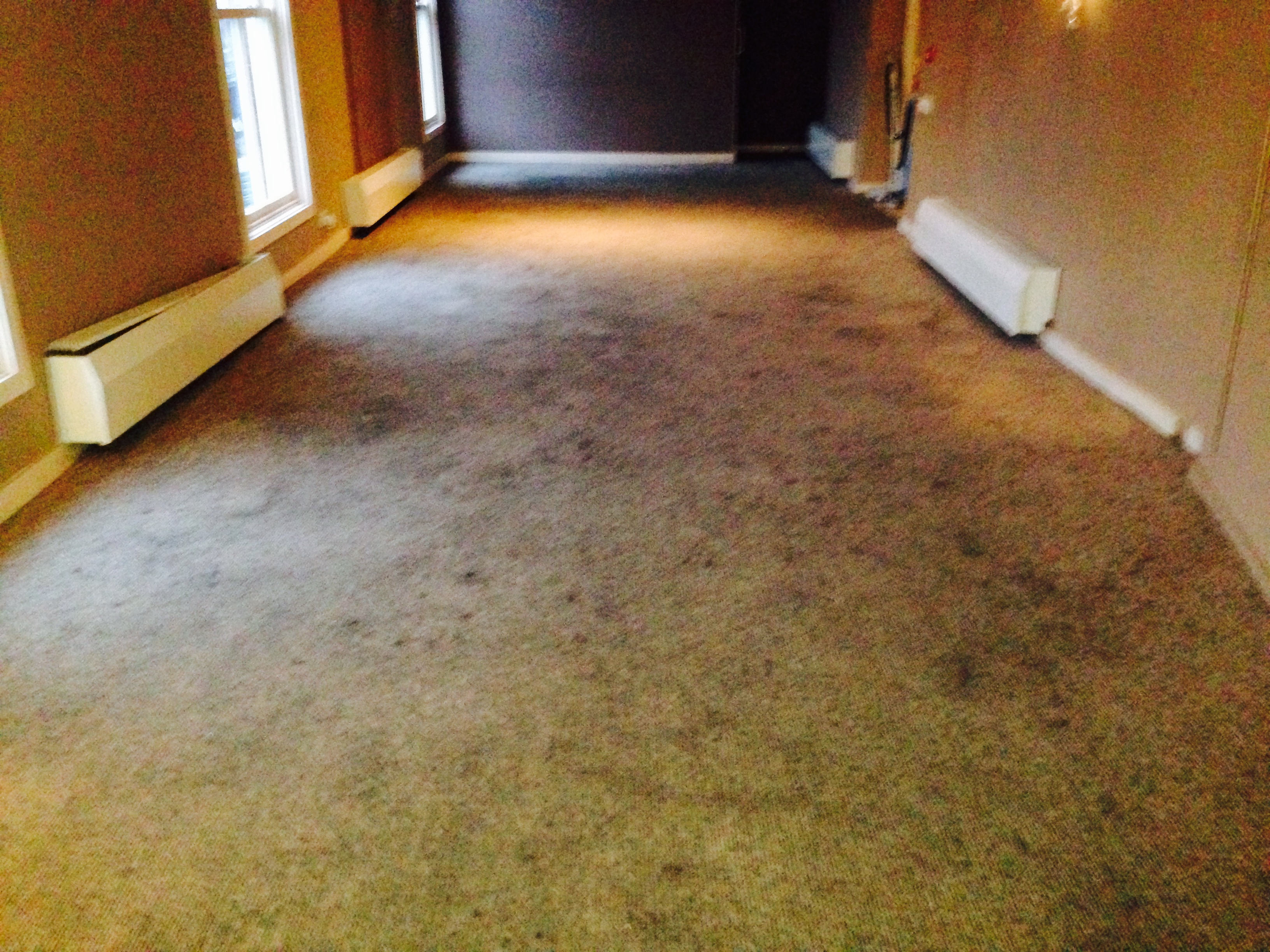 Commercial Carpet Cleaning